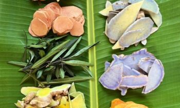 NOVITA’ MAG. 25 – MASSAGGIO DRENANTE THAI (MDT)